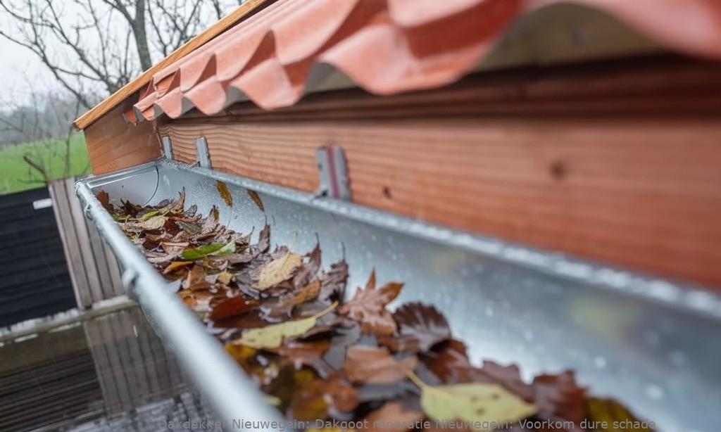 Dakgoot Reparatie Nieuwegein 1