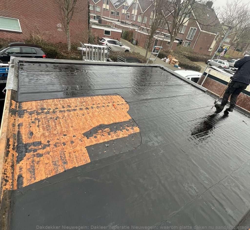 Dakleer Reparatie Nieuwegein