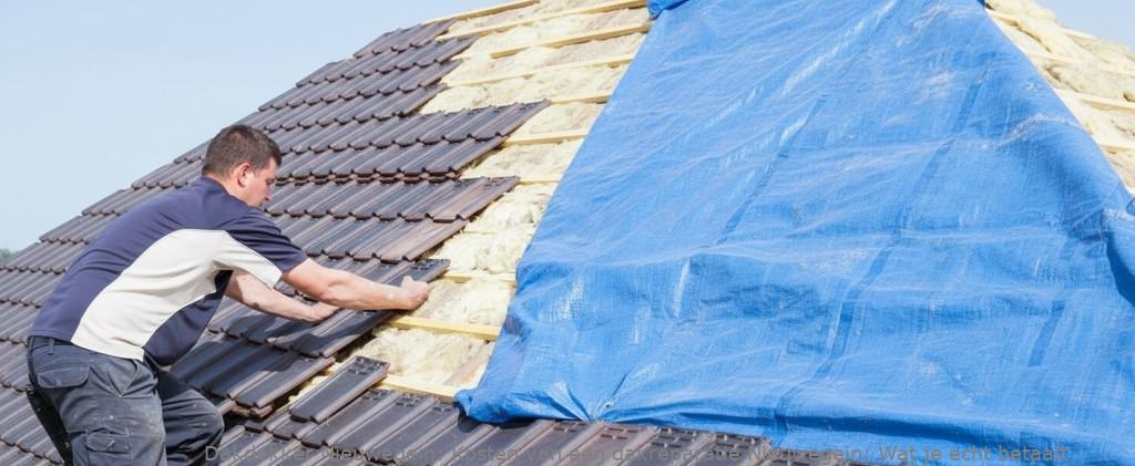 Kosten Van Een Dakreparatie Nieuwegein