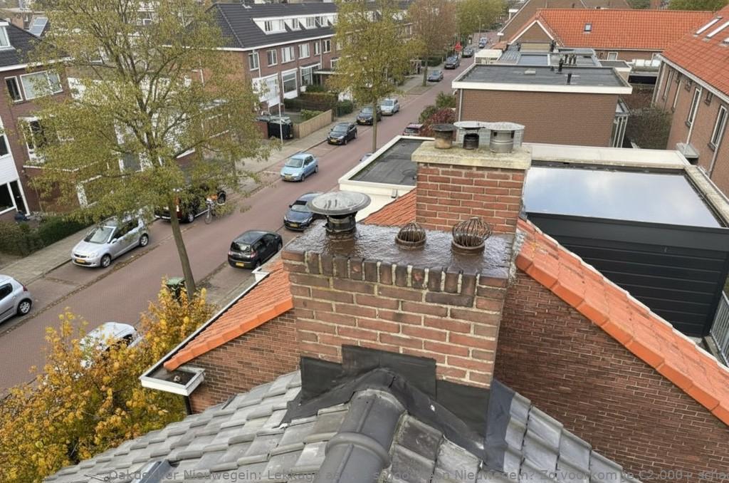 Lekkage Aan De Schoorsteen Nieuwegein