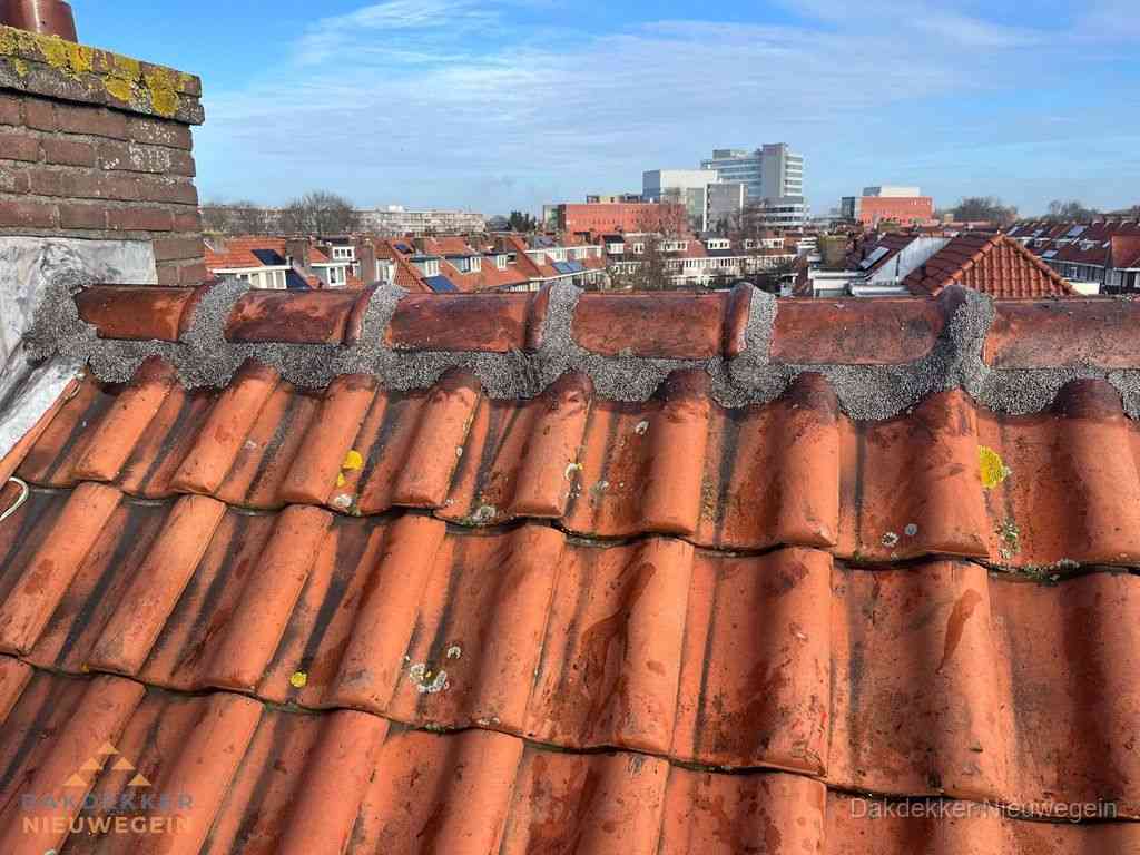 Nieuwegein Daken Renoveren