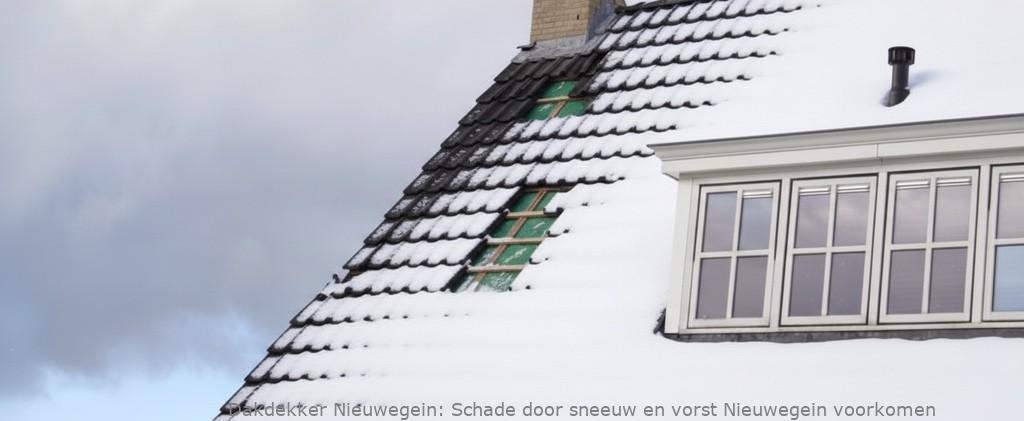 Schade Door Sneeuw En Vorst Nieuwegein
