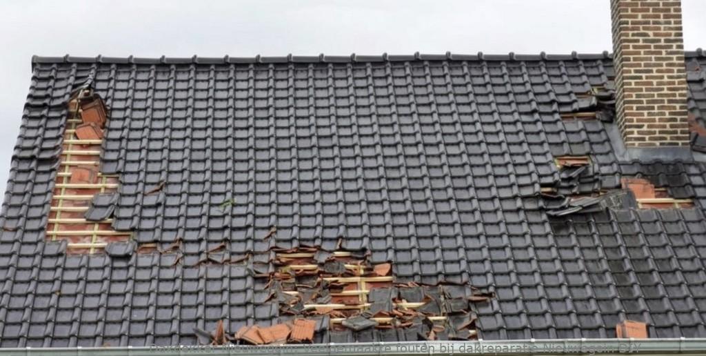 Veelgemaakte Fouten Bij Dakreparatie Nieuwegein