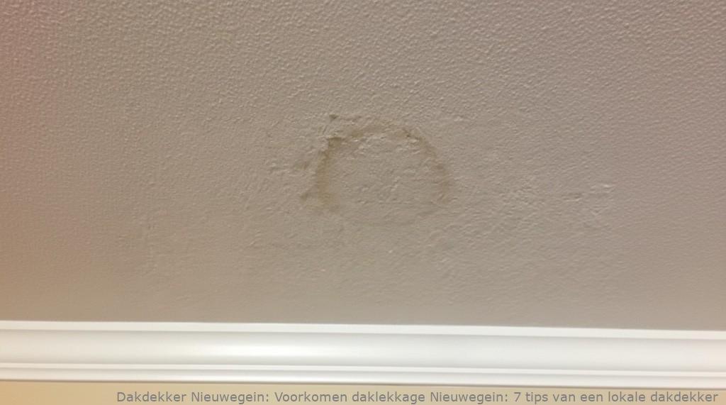 Voorkomen Daklekkage Nieuwegein